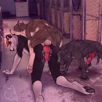 Yiff knotting 👉 👌 r / canine / 123367 - Ychan